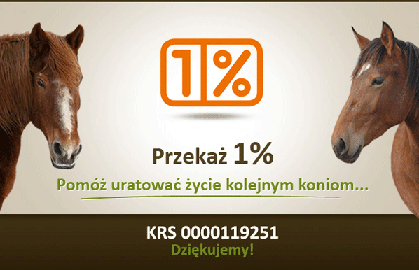 1% podatku dla Fundacja Pegasus