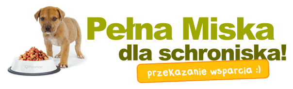 Pełna Miska dla schroniska