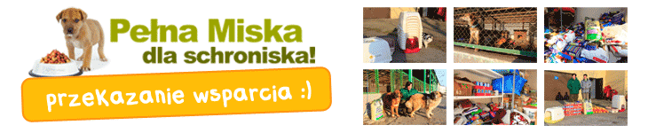 Pełna Miska dla schroniska